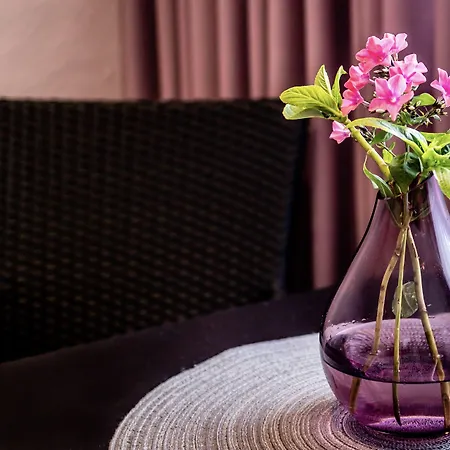 Hotel Restaurant Verst-2